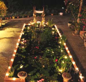 Vallarta Botanical Gardens at Night