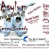 530-asylum asylum improv comedy show
