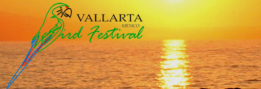 Puerto Vallarta bird festival