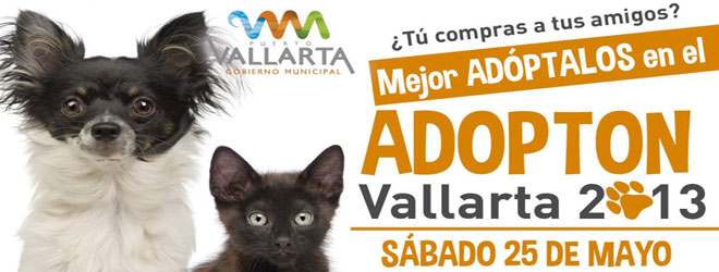 Adopton - May 25