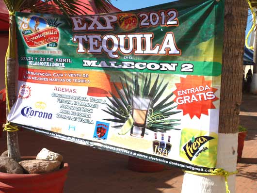 Vallarta tequila expo 2012